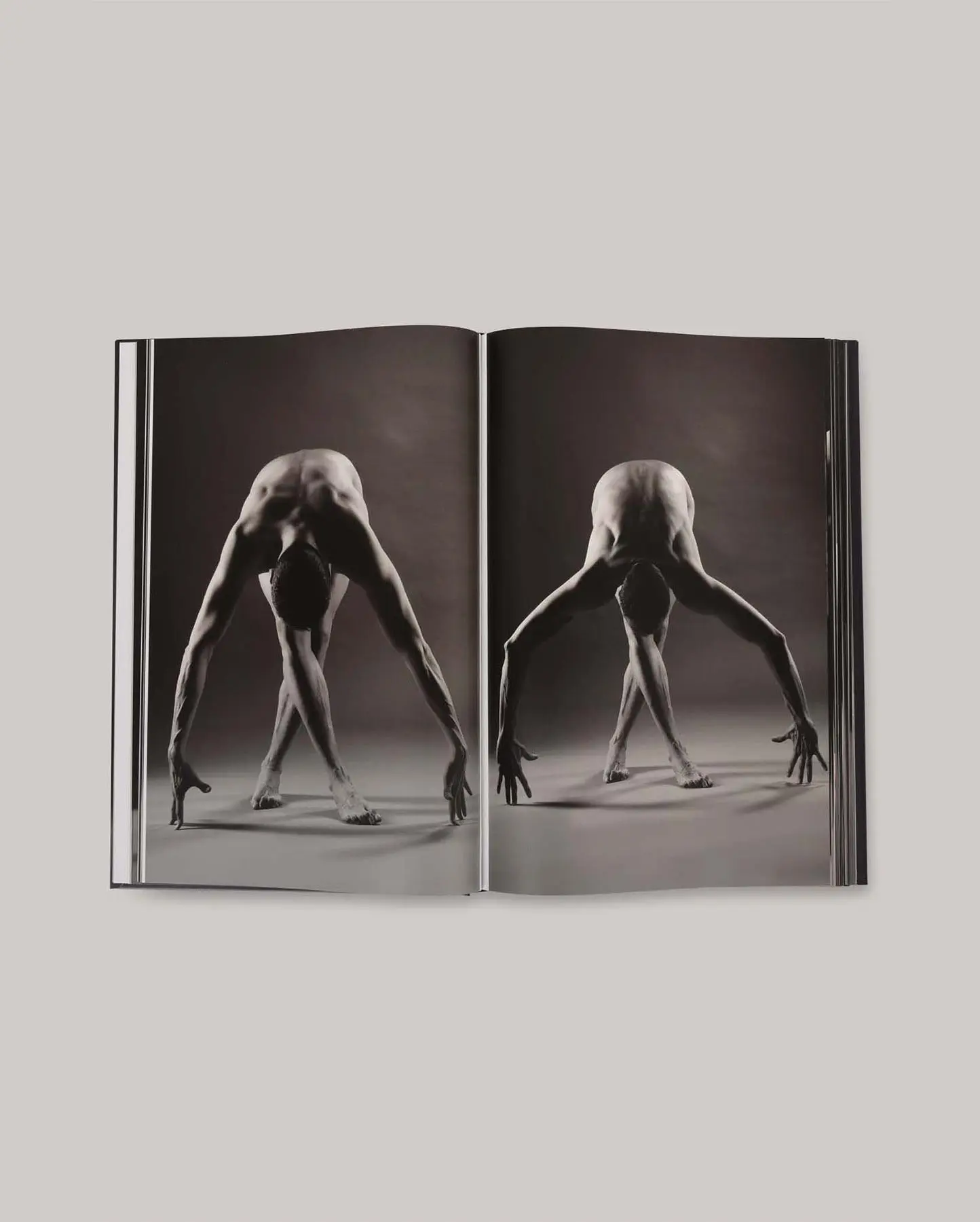 Livre d'art YOGASM par Anka, d'après l'idée d'Hélène Duval - Image 6